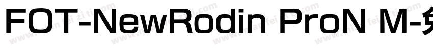FOT-NewRodin ProN M字体转换
